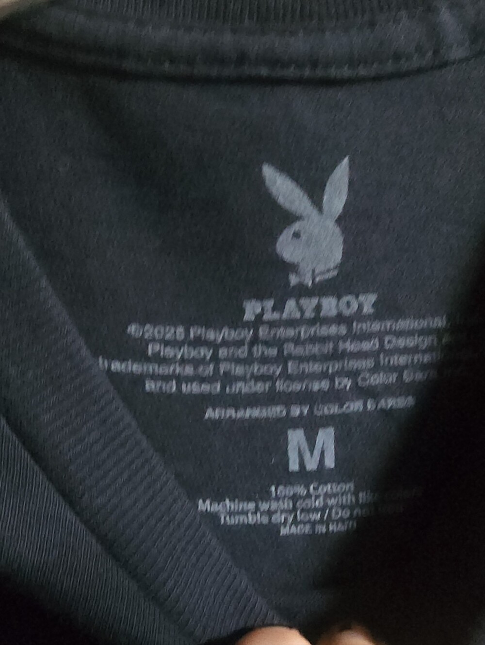 PLAYBOY Racing - Picture 2 of 2
